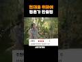 현재를 위하여 - 전문가 심층 리뷰 및 관람 포인트 5 예고편 썸네일
