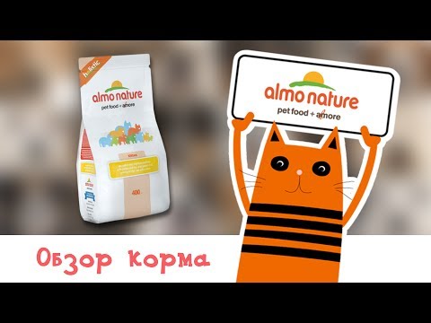 Обзор корма Almo Nature Holistic Adult Cat Turkey