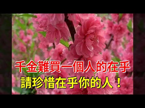 千金難買一個人的在乎，請珍惜在乎你的人！