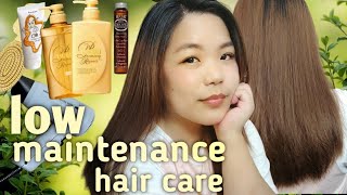 Easy Hair Care Routine (Philippines)Hair Products I love