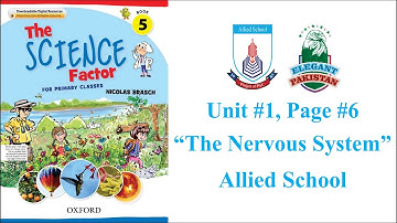 Class Five Science Unit #1, The Nervous System. Allied School