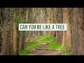 How can you be more like nature? Can you be a like a TREE!