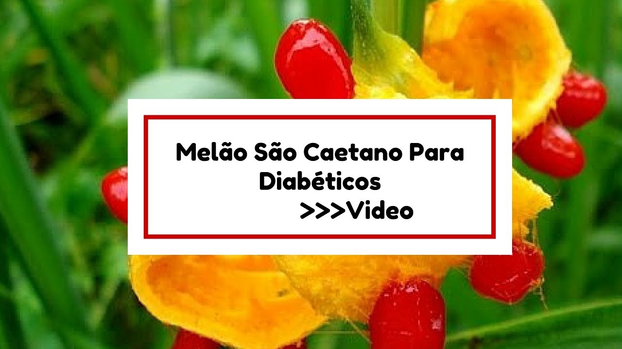 Beneficios Do Melão De São Caetano Para Diabetes