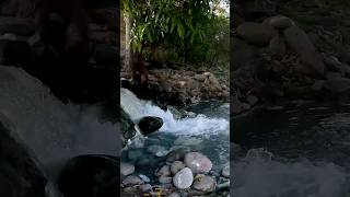 El carrizal aguas termales en Veracruz, video completo en el canal 😍🥵🔥👌🏼👽 #aguastermales #balneario