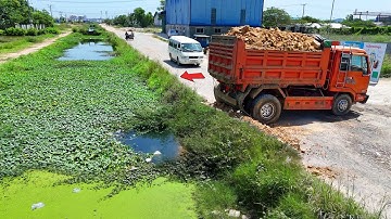 Full Video Starting Landfill! Dump Truck 5Ton pour soil cross Canal, Expert Dozer Pushing Soil Stone