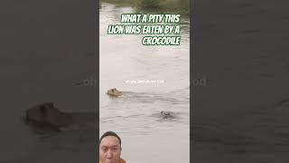Download Lagu SINGA DI MAKAN BUAYA#shorts #tranding#fyp MP3 Download Lagu SINGA DI MAKAN BUAYA#shorts #tranding#fyp MP3