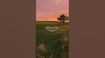 إِنَّ السَّاعَةَ لَآتِيَةٌ لَّا رَيْبَ فِيهَا . سورة غافر