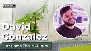 At Home Tissue Culture