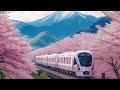 Gentle Music for Instant Relief ✨ Soothe Your Nerves &amp; Reclaim Inner Peace