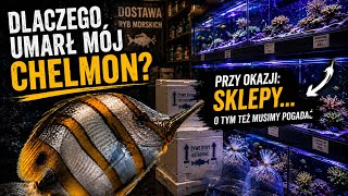 WHY DID MY CHELMON DIE | WHAT'S WRONG WITH THE STORES #aquariummarine #aquaristics #aquarium