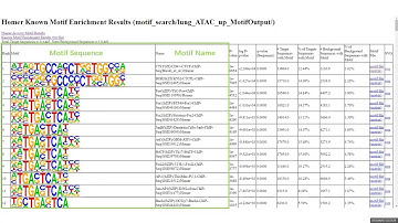Motif analysis of Omics3D