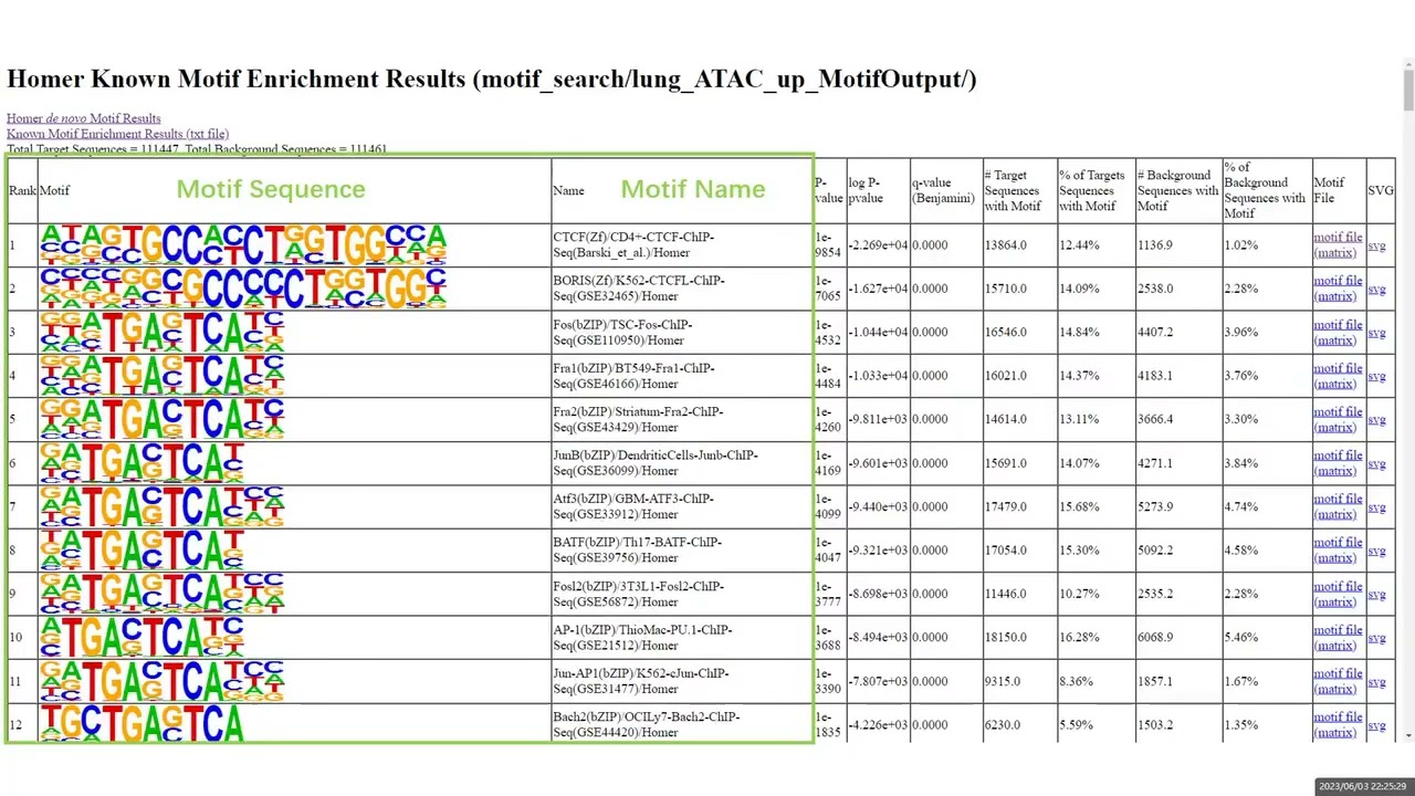 Motif analysis of Omics3D