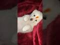 Funny dog 🐶. #funnyvideos #funnyshorts #tranding #viralvideo #trandingshorts