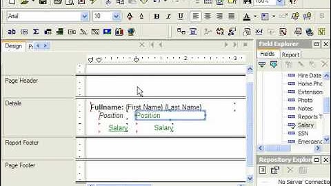 Crystal Reports Tutorial Format Painter Business Objects Training Lesson 5.5