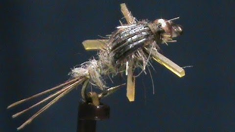 Beginner Fly Tying a Bead Head Rubber Legs Hare