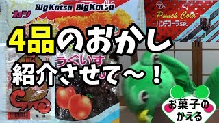 お菓子を4品紹介させて！【①BIGカツ②甘いかメンタイ味③うぐいすあんず④パンチコーラSP】