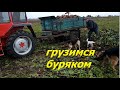 ПЕРЕВОЗКА БУРЯКА С ОГОРОДА ТРАКТОРОМ Т-25/TRANSPORTATION OF A BURYAK FROM THE GARDEN BY TRACTOR T-25