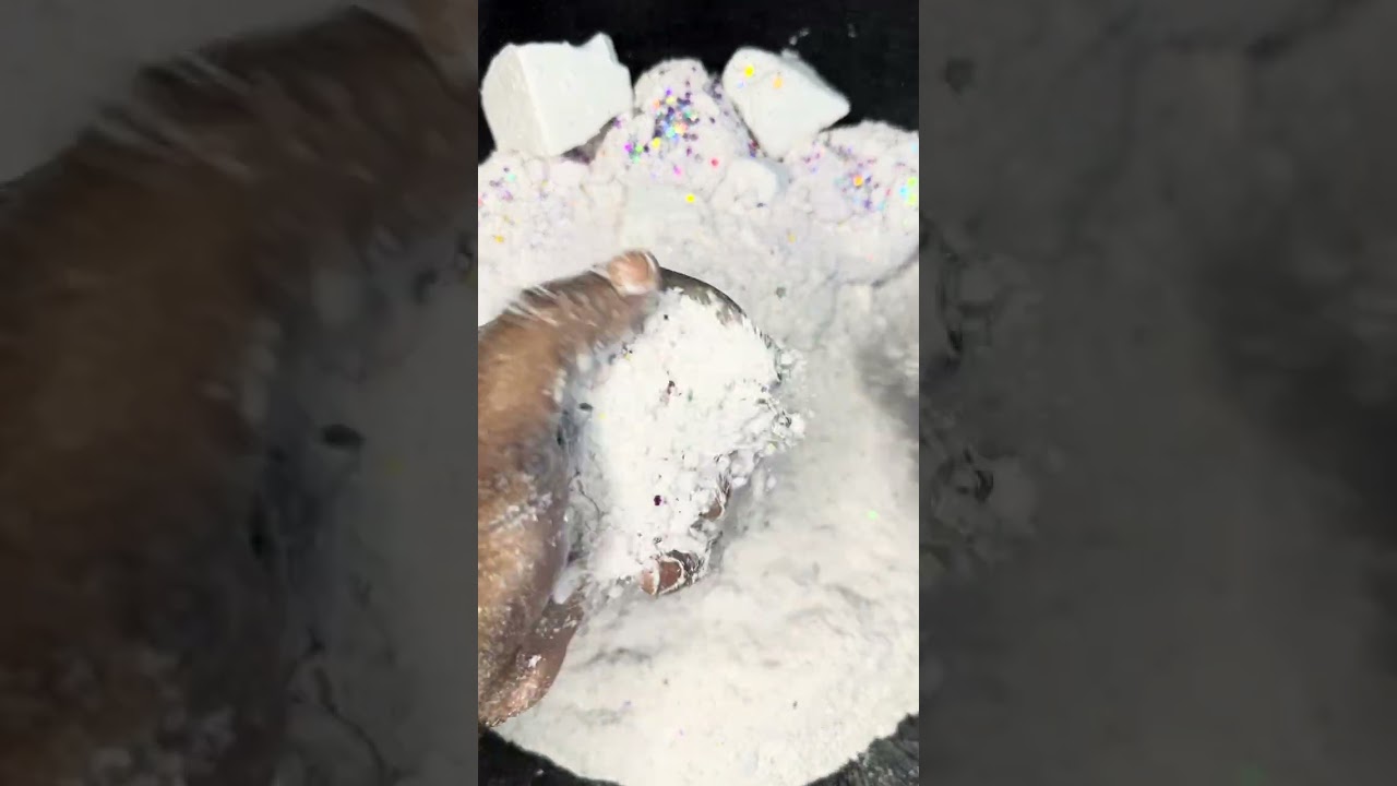 Just a reform with glitter ✨