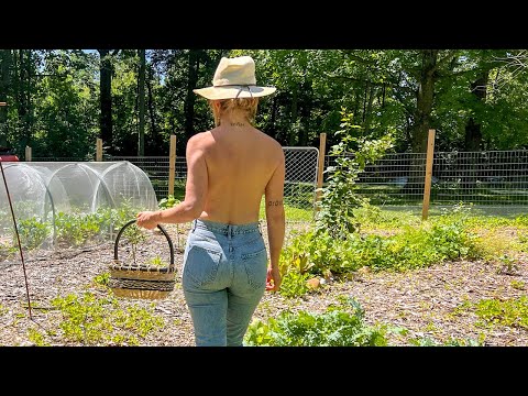 Garden Gone Wild | Mole Problem | Greenhouse Flood
