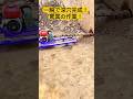 一瞬で深穴完成! 驚異の作業! #掘削機 #建設技術 #重機 #土木工事 #最新機械