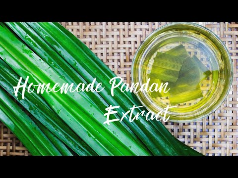 Pandan Essence Vs Extract