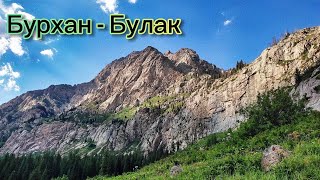 Водопад Бурхан-Булак | Коринское ущелье | Грибы | 13-16 июля 2023