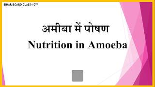 Nutrition in Amoeba Class 10 Biology | Holozoic Nutrition Explained | Wasim_Official | Hindi |