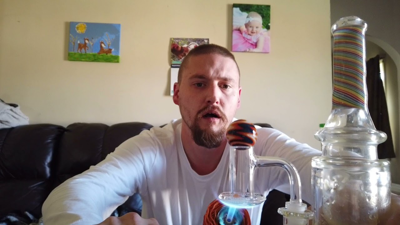 Kola dog 1 week update. Cheese x Melon Kush