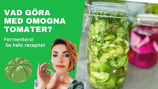 Fermentera Gröna Tomater