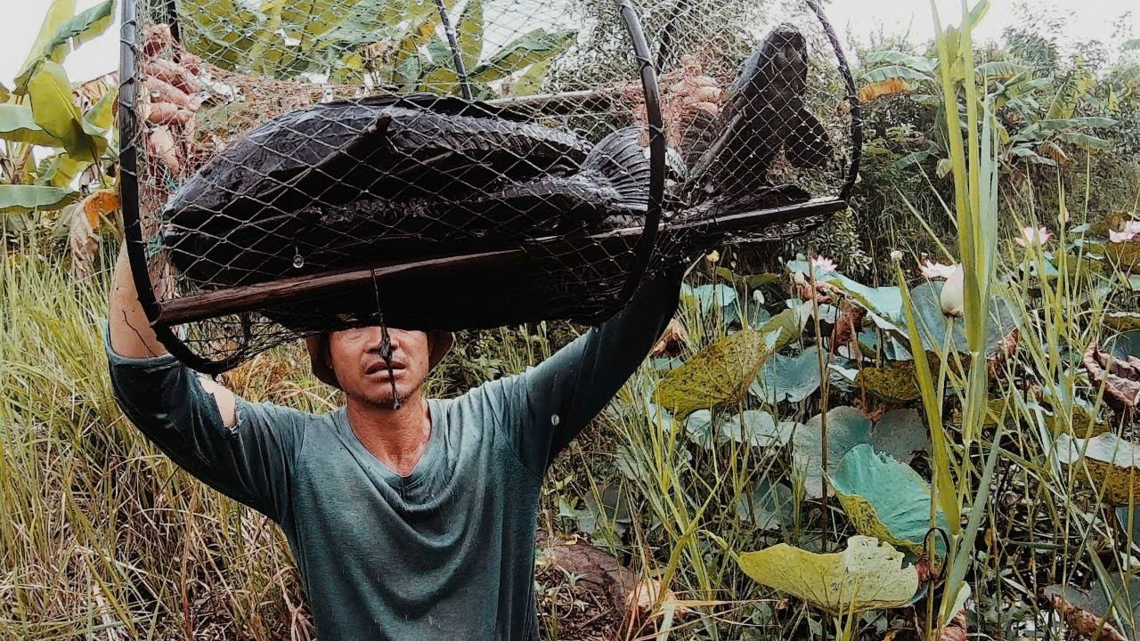 Những Con Quái Vật Khu Đầm Sen Quá Kinh Khủng