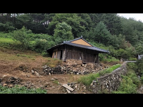 산아래 희귀한 시골집 경사밭 농사 힘들던 시절 소몰아 농사짓던 고향,