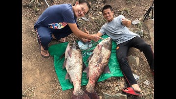 hành trình chinh phục cặp cá mè bò khủng 36kg,hồ đá lớn(DHQG) tập 4