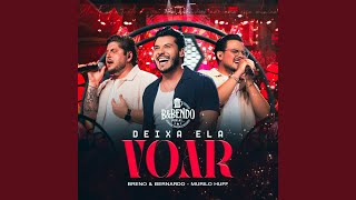 Deixa Ela Voar
