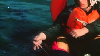 US Air Force Shark Defence Instructional Video
