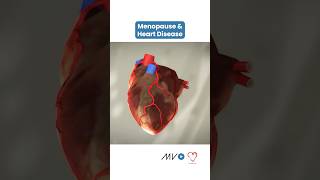 Menopause & Heart Disease 🫀