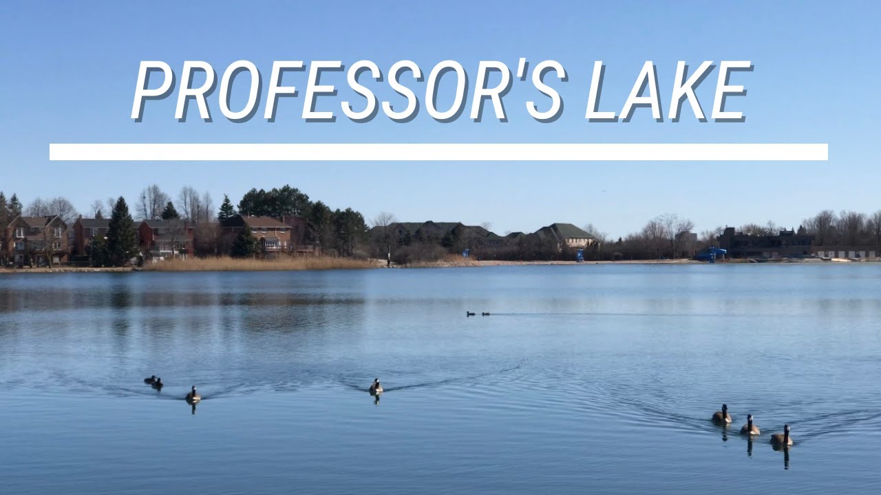 Professor Lake In Brampton CANADA