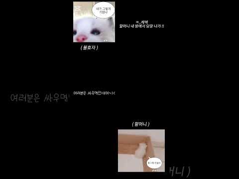 하몽님 #리즘아 #눌러주세용 #구독부탁합니 #구독부탁합니다 #고양이 #관리자님추천뜨게해주세요 #웃긴짤 #웃긴영상 #좋아요댓글