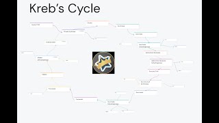 Anking Pathway Tutorial