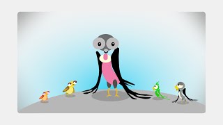 Zoomix, Cholo, The Condor