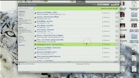 Internet & Computers : How to Transfer Limewire Music to iTunes
