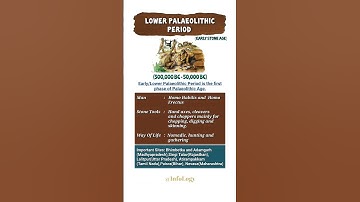 Lower Palaeolithic Age | Stone Age | Ancient History |#shortsfeed#shorts#viralshorts#trendingshorts