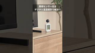 黒球付きのデジタル温湿度計です。WBGT値を正確に算出、任意で数値を設定できる警告ブザー機能付きです。EEX-THM01 イーサプライ