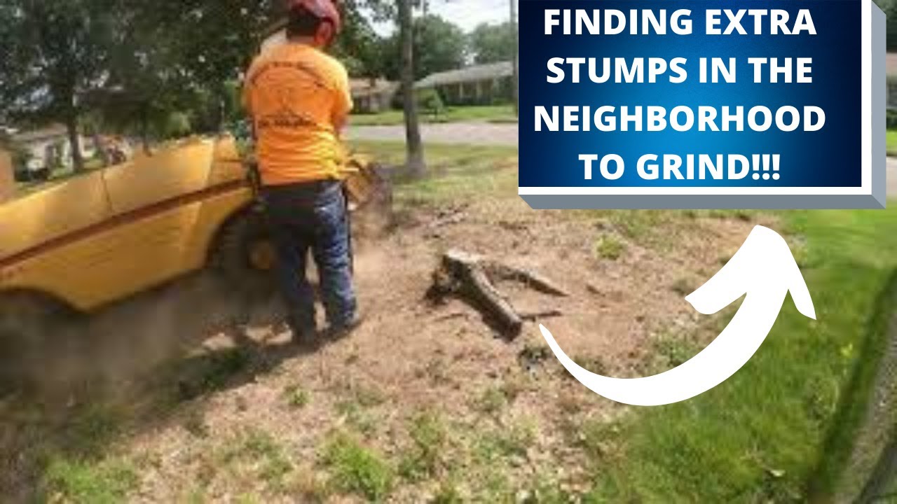 Rayco RG50 stump grinder tackling several stumps in the neighborhood ...