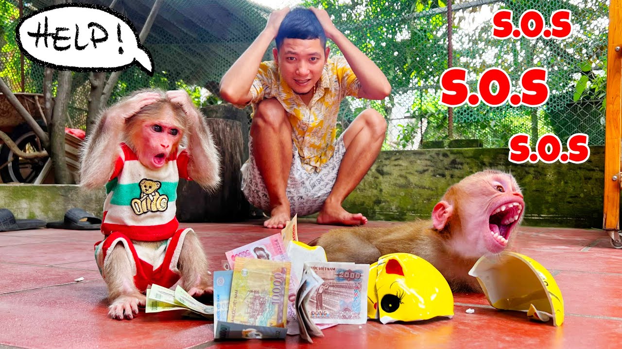 Бобби и папа пытались всеми способами собрать деньги на операцию на ноге Кака.