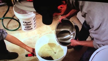 Beer Brewing Process