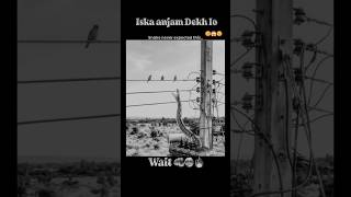 𝐃𝐇𝐄𝐄𝐍 𝐊𝐈 𝐃𝐀𝐖𝐀𝐓 #trending #viral #poetry #video #urdu #foryou