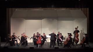 Popper   Hungarian Rhapsody, Op.68/Rachlevsky, RSO