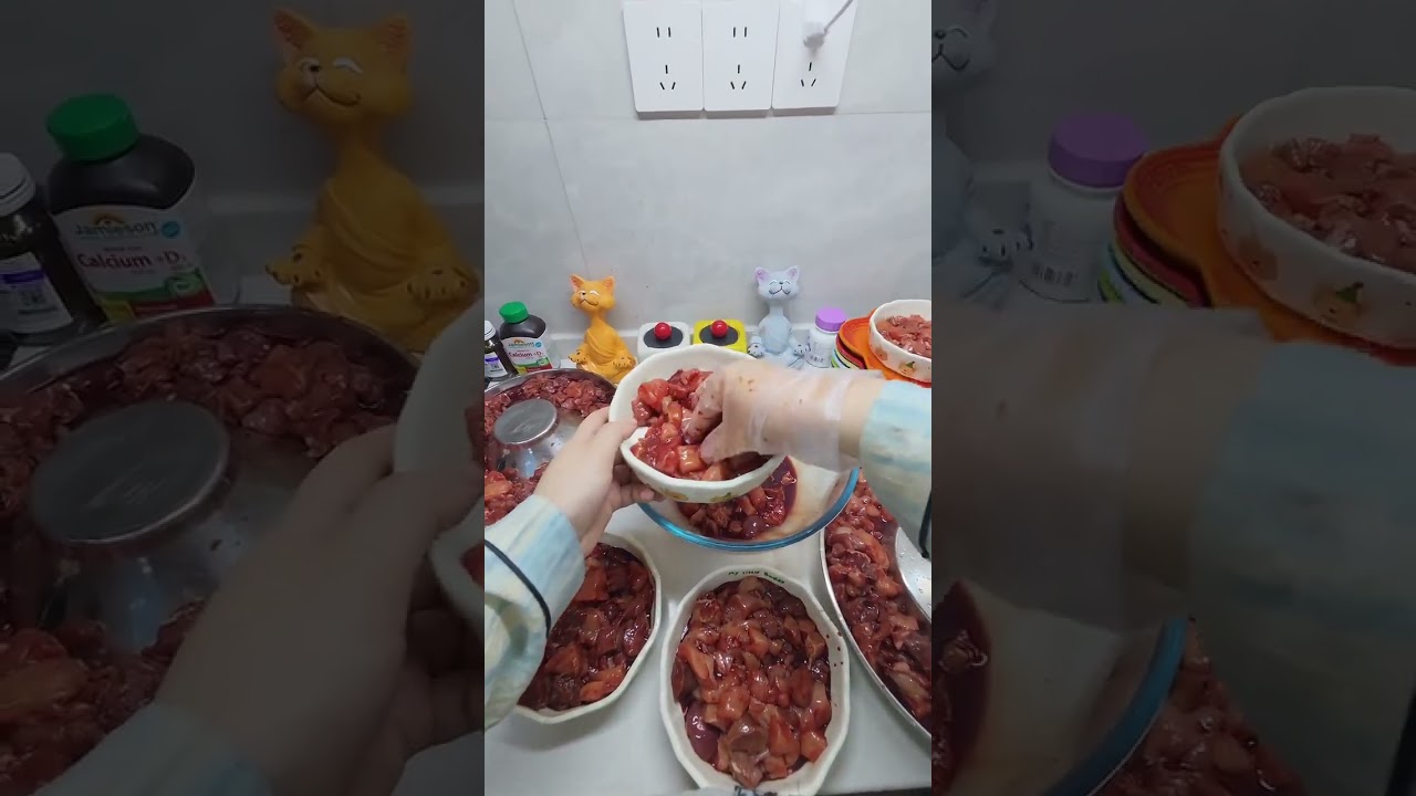 Raw Meat Challenge: 40 German Vloggers Face the Test