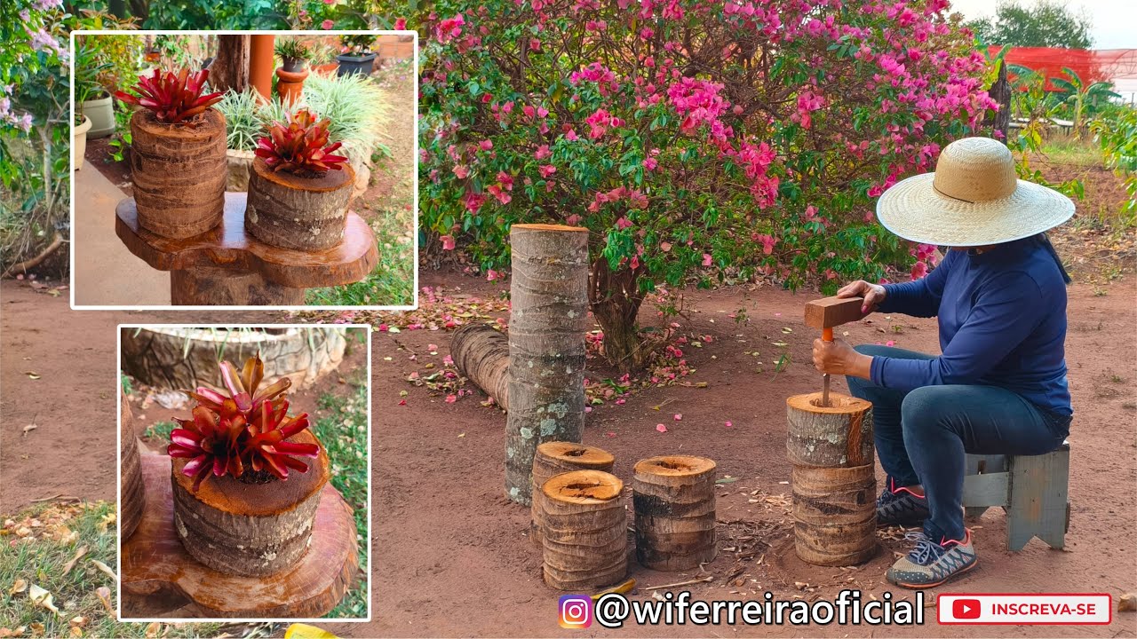 Transformei Toquinhos de Coqueiro em Vasos Naturais para Bromélias🪵🌱
