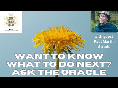 Would you like to experience the Wildflower Oracle? Paul Martin Strode explains all. #oursoulsspeak